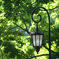 Lantern in a summer