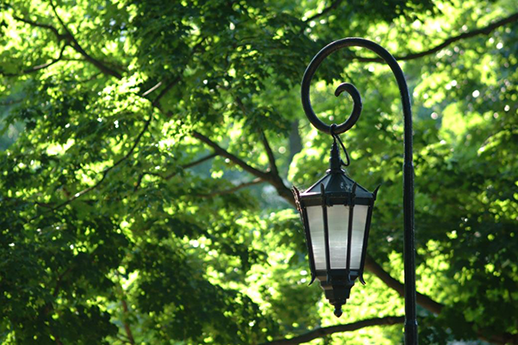 Lantern in a summer