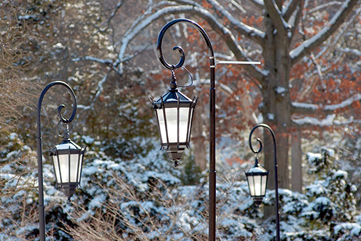 Lanterns in a snow